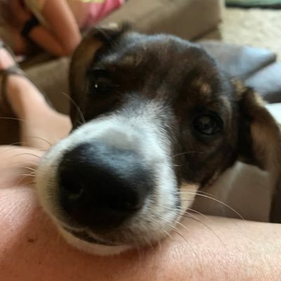 TTrusten's profile picture. So imperfect, but so blessed. Christ following wife, Mother of 3 and Grandma of 5. ❤️ Moved from MN to IN- Best. Move. Ever.