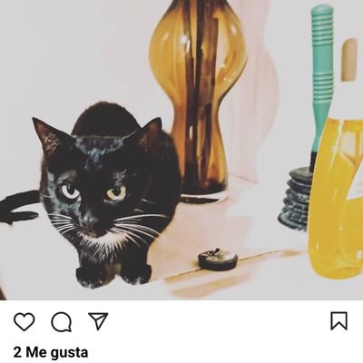 PedroCu31599921's profile picture. 