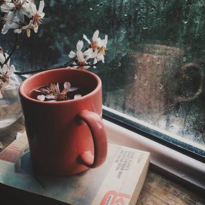 awatif235730831's profile picture. 🌷🌷🌷