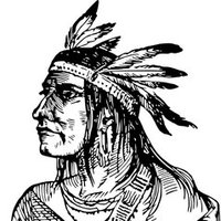 Native (@thenavajonative) 's Twitter Profile