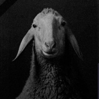 galamo112's profile picture. 