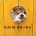粥岁 (@0vieihgcfual6qq) Twitter profile photo 粥岁 (@0vieihgcfual6qq) Twitter profile photo