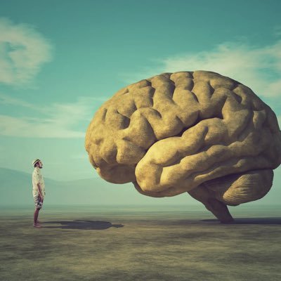 FlowStayt's profile picture. front-running attention