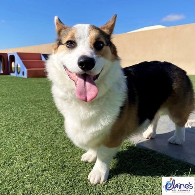 Lizzie03_'s profile picture. 