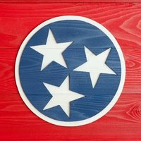 TN Patriot(@10P8TRIOT) 's Twitter Profile Photo