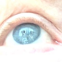 Lorraine Schultz (@lorraineschultz) 's Twitter Profile