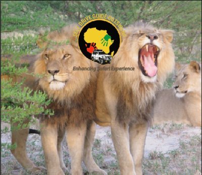 Tour Guide - Self Drive Guide Botswana :
barkantravelbookings@gmail.com
https://t.co/SfPxsWTq2A
+267 76856464 (app)