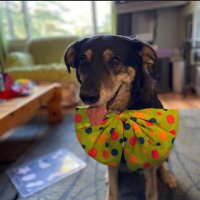 Molly (@misternels) 's Twitter Profile Photo Molly (@misternels) 's Twitter Profile Photo