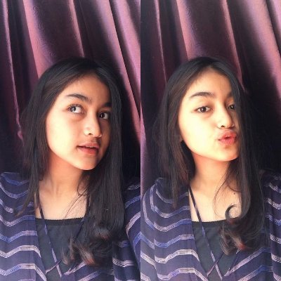 Woman, Mid-twenties, Engineer, Civil Servant, Traveler, Indonesian.