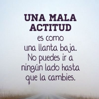 Siempre habrá diferencias de opinión, eso es parte del ser humano, es lo que lo enriquece.  Que tu opinión sume, a pesar de todo.