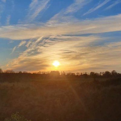 Lemanaghan_bog's profile picture. Information relating to the rich bio-diversity and Heritage of Lemanaghan Bog, Co.Offaly, Ireland.