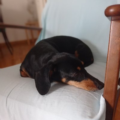 AllNamesAreRed's profile picture. 