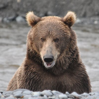 Vielseitig interessierter, Zusammenhang verstehen wollender, weltoffener Mensch