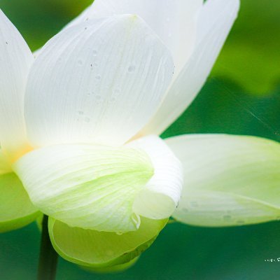 JYWM5l3fBVxF06K's profile picture. 座して動かず  それが私の戦闘様式(プレイスタイル)

出来ることしかしませんよ