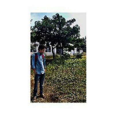 Arbazsk4444's profile picture. 