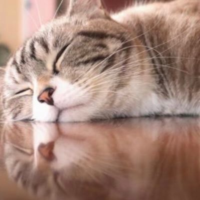 mimimimimi__mim's profile picture. Rofuの動画からRofuの🍞SARUKANI🐵🦀、SHOW-GO、4thGASにハマる→GBB2021リアタイ配信観戦→BREZにもどハマり（beatbox関連の方無言でフォロー失礼します） 人見知りですが、コメントしたいときはします😊よろしくお願いいたします💕