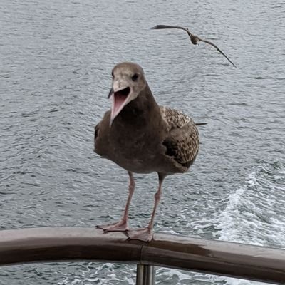 tktynm0227's profile picture. 社会人 でゆかり王国民、SCS仙台公演からの新参者です。
気軽に話しかけてくれると嬉しいです。
小学生の時にゆかりんに出会いそこからファンです。
ぎり20代