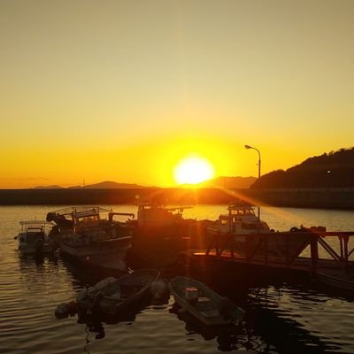 50_shiran's profile picture. 広島　音楽と邦画