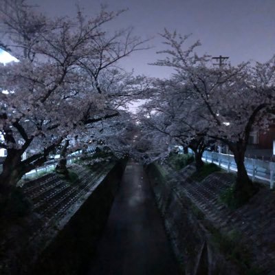 20代／男/投資初心者/米国株 無断フォロー失礼します🙇‍♂️