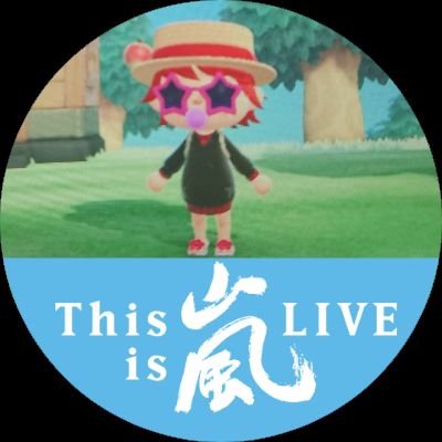 ひめたん