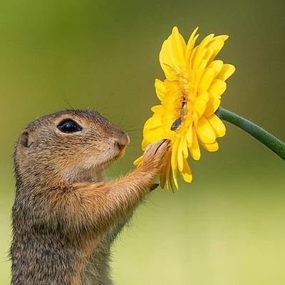 RaitaIndustriez's profile picture. We are pointless.
U being right ,
means nothing 
to.the delusional.
Make content & research it well.