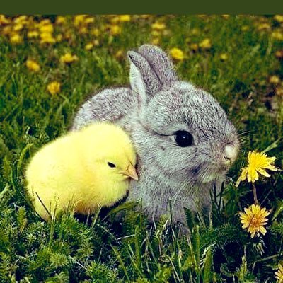 yuyulove111's profile picture. 真実を知りたいと思いTwitterを登録したばかりの初心者です。Twitterも真実も一歩一歩勉強したいと思っています。慣れないため失礼なことがありましたら申し訳ありません。どうぞよろしくお願いします😊