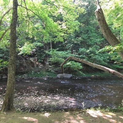 Dogeforall1's profile picture. Everyone for crypto, entrepreneurs, future is crypto Help grow our community & make crypto accessible to all! #WomenInBlockchain #doge #BTC $DOGE $XRP $ETH