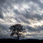 Wedahex3's profile picture. 