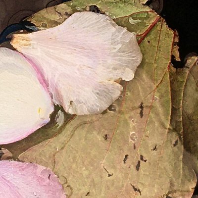 geektweetering's profile picture. Artist
 contact@spencerhanson.co.uk