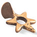 dotraki (@ecuabelcebu) Twitter profile photo dotraki (@ecuabelcebu) Twitter profile photo