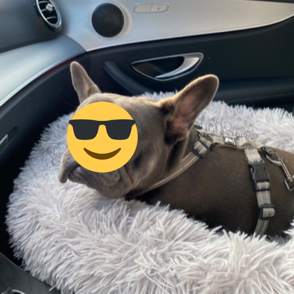 WannabeWarren81's profile picture. Investing in value only. And growth, if value is right. Created this profile to freely share my thoughts. Travelling towards 10mSEK before turning 50. No advice