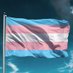Trans Support Coalition (@transsupportco) Twitter profile photo Trans Support Coalition (@transsupportco) Twitter profile photo