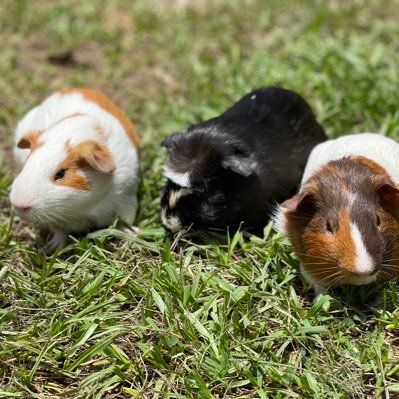 aymyjp10's profile picture. Love my kids to the moon and back