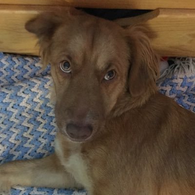 pato_de_uva's profile picture. One way, or another…