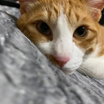 tm__b3_37's profile picture. ROM