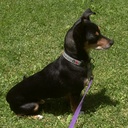 john bollenbacher - @jhbberk - Twitter