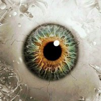 Davo (@davidlj81627940) 's Twitter Profile