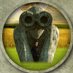The Watcher 👁️👁️ (@jarrewatcher) Twitter profile photo The Watcher 👁️👁️ (@jarrewatcher) Twitter profile photo