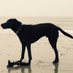 test123456 (@test21rt) Twitter profile photo test123456 (@test21rt) Twitter profile photo