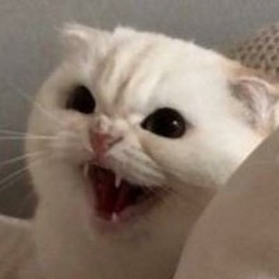 ถ้าไม่ได้4ปีก็จะรอ 🏳️‍🌈 #สมรสเท่าเทียมさんのプロフィール画像