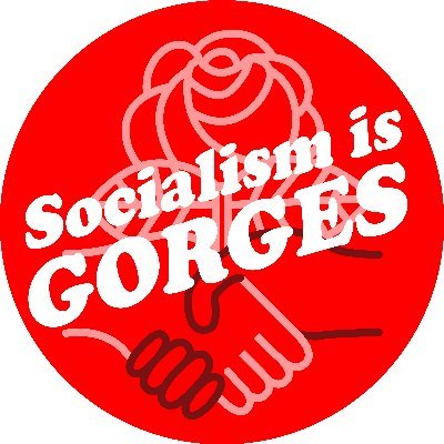 Ithaca chapter of the Democratic Socialists of America, an organization promoting US democratic socialism through education and organizing.