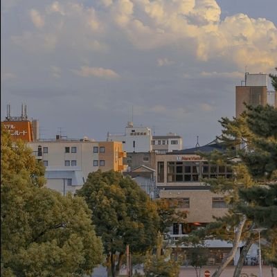 odyruby's profile picture. 