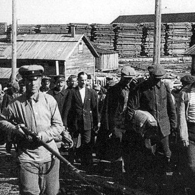 FrankARasmussen's profile picture. Identify as 3090-600S. SR 15,15/BR 14
Women is from Venus
Men is from Mars
Other Genders is from Uranus