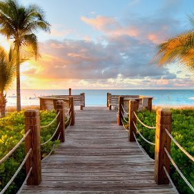 amiya336's profile picture. モンハンnow用アカウント。たまに動画とか上げます。