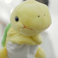 Jiny🐢 (@ptg_uvs_04) Twitter profile photo
