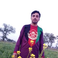 Sibghatullah Shah(@SibghatBukharii) 's Twitter Profile Photo