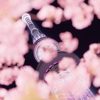 photoncarrier's profile picture. たまに写真、たまに科学ネタ。少し不自由の身なので過去写真多めになります。フォロー/リムーブご自由に。