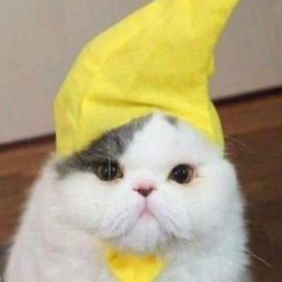 einsnull04's profile picture. น้องเล่อน่ารักจนหม่ามี๊จุยเจ่บมากๆเรย😭🤏🏻🐬🤍