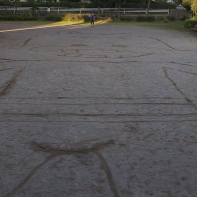 punosuke_0bake's profile picture. ら民 おばけです / 鍵@punosuke_skmn 🐸有難う