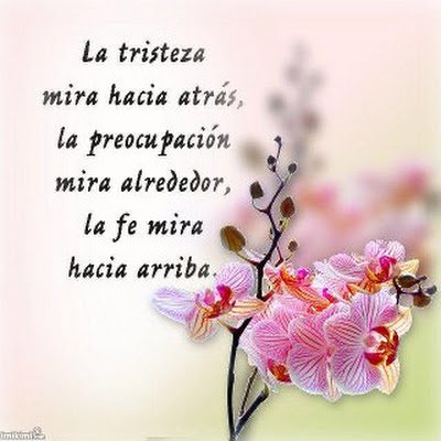 titialfaro3's profile picture. 